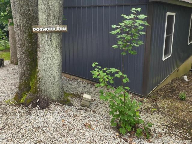 Dogwood Run at Avenwood Cabins