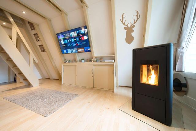 BayerWald Cabin