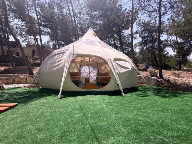 Lotus Belle Tent in a Kobayat Pine Forest