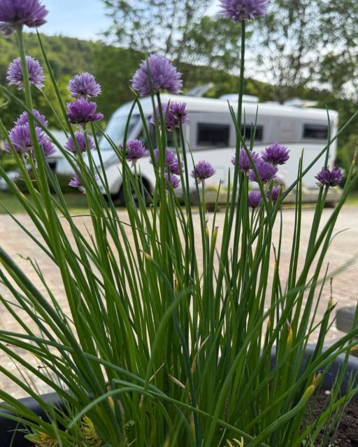 7 Täler Camping