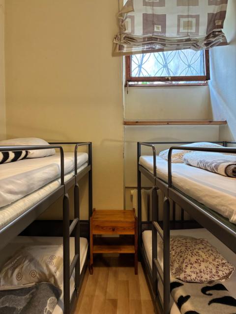 MDZz Hostel