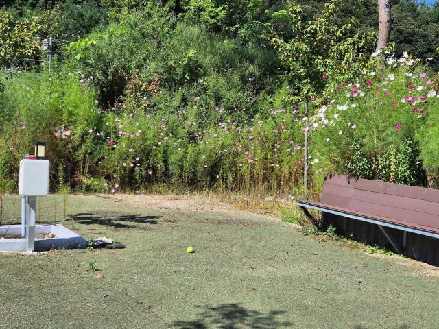 Goseong Lavender Camping Caravan