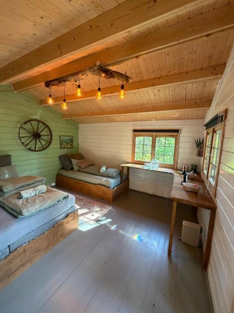 Adventure cabin