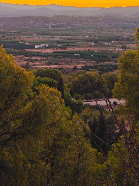 Mountain Forest Retreat, Chalets A,B, large 80sqm Pool, Forest Hiking