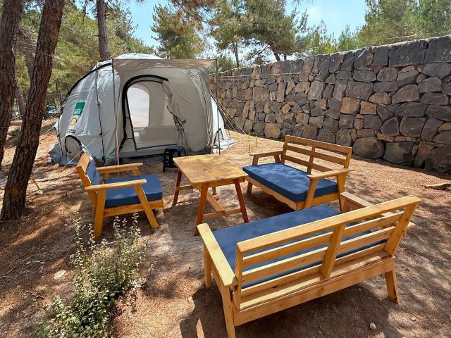 Pine Forest Camping in Kobayat