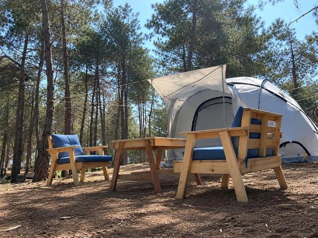 Pine Forest Camping in Kobayat