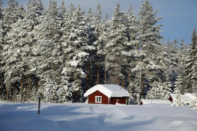 Cabin Dating from 1721 without internet - electricity or running water but with a traditional red painted outhouse