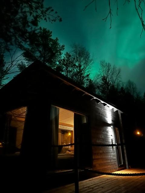 Elves Forest Cabin