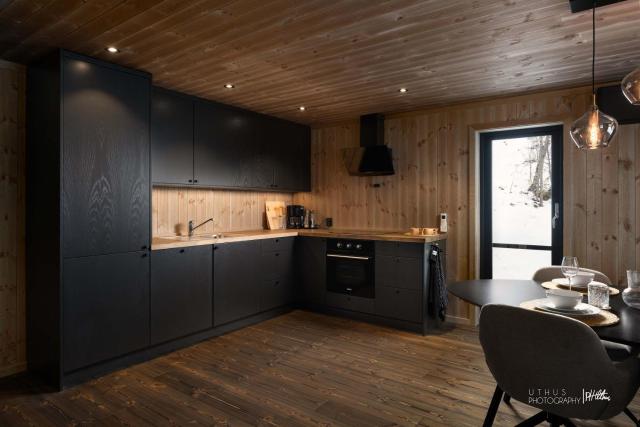 Bekkely Hytte - Modern cabin in ski area, Nesfjellet