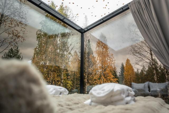 Aava Glass Igloos