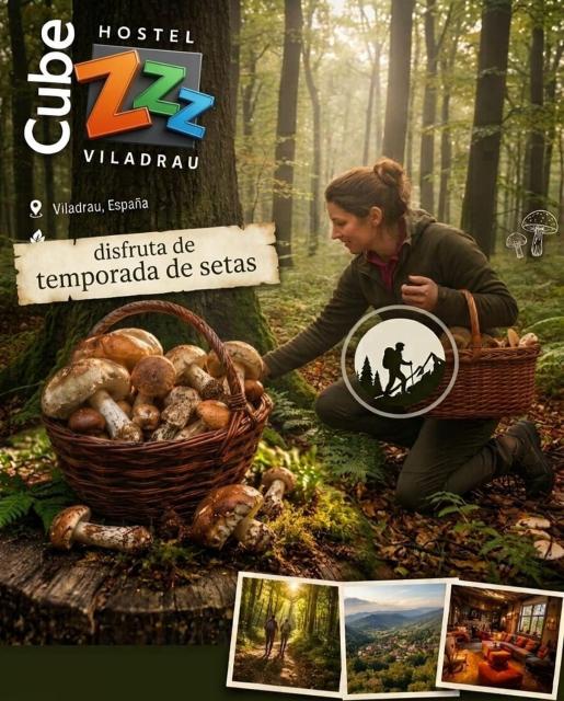 Cubez Viladrau by Dynamic Hotels