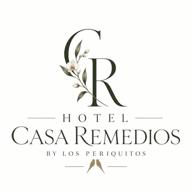 Hotel Casa Remedios by Los Periquitos