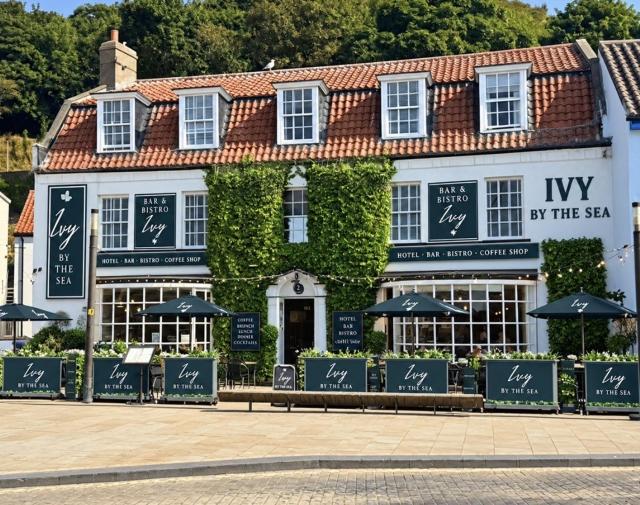 Ivy By The Sea