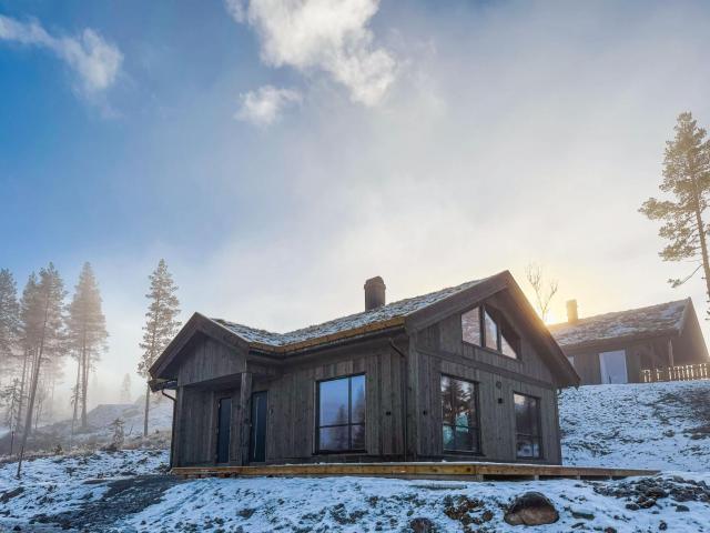Bekkely Hytte - Modern cabin in ski area, Nesfjellet