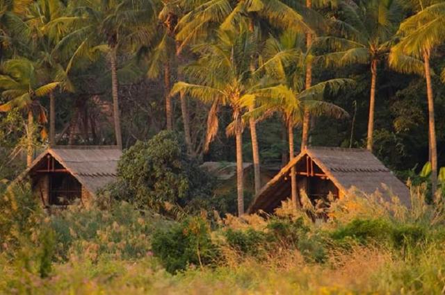 Simbamwenni Lodge and Camping