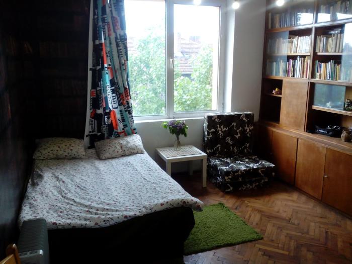 Downtown Apartment Library