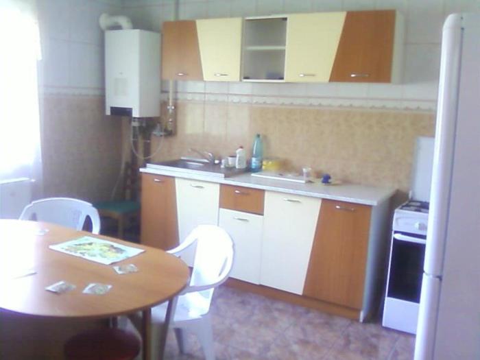 Vila Elena si Ionut