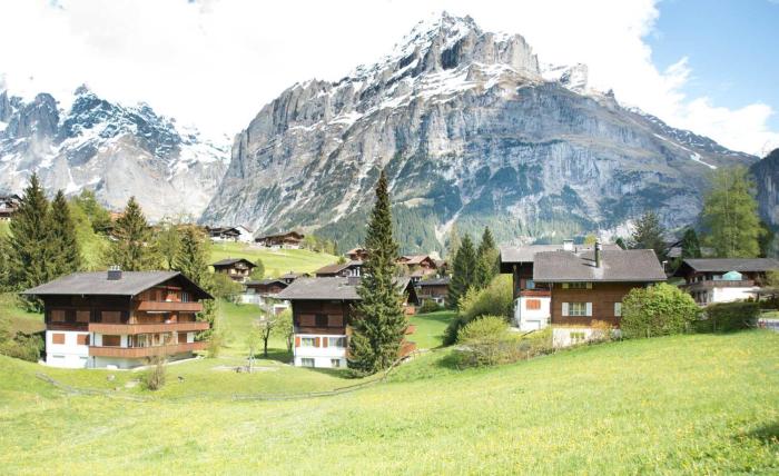 MOM - Alpine Boutique Apartments, Romantica, near Grindelwald Terminal