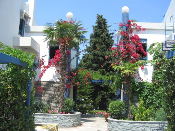 Aperito vacation house-Chaniotis
