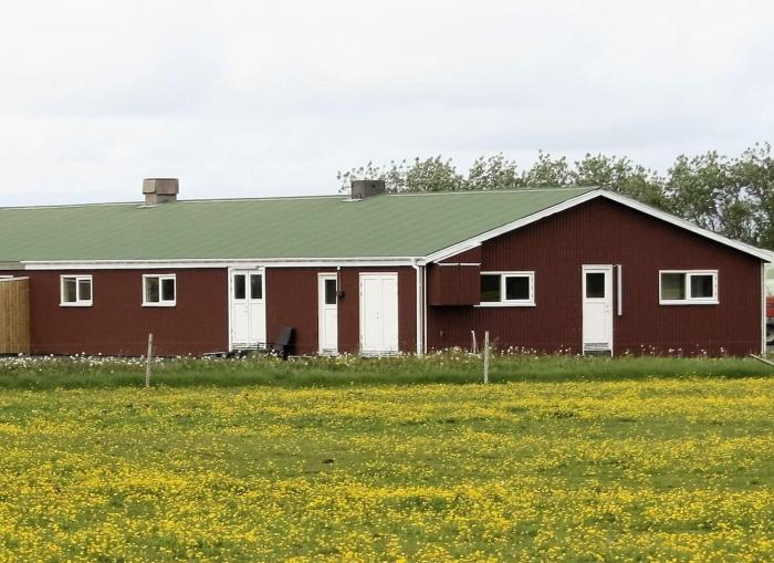 Kaldbakur Guesthouse