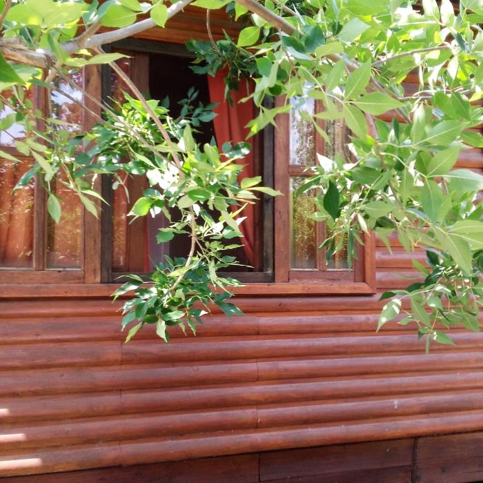 Cabaña Los Cardenales