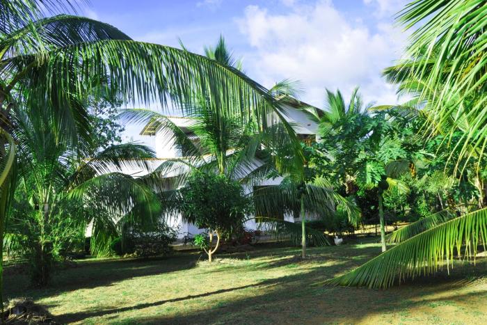 Coconut Garden House