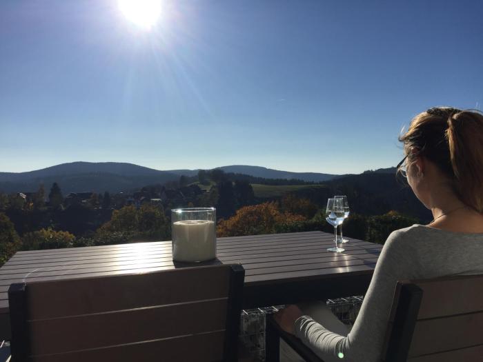 Linas Ferienwohnungen - zwei moderne FeWos mit Sauna im Haus und fantastischem Ausblick