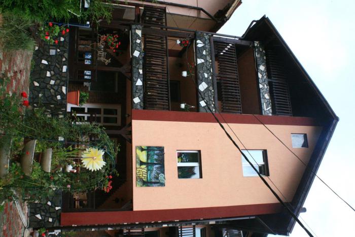 Pensiunea Ianis Moieciu