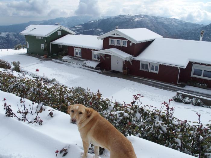 Ktima Noosfera Wellness & Retreat Center