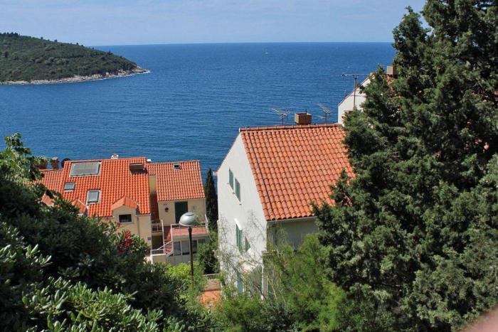 Apartments with WiFi Dubrovnik 8821