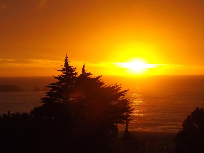 Cabaña Little Forest