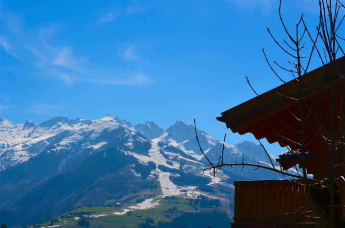 APT Mountain View by - Alpen Apartments