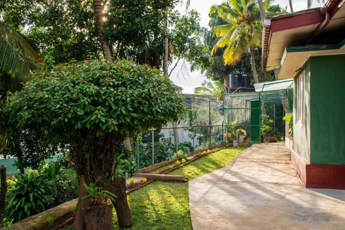 Udawatta Kele (UK) Forest Lodge