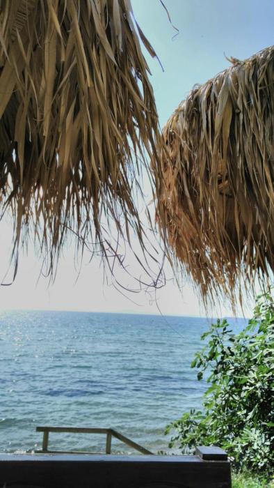 Alex Beach Apartment