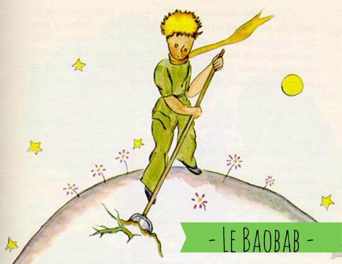 Le Baobab