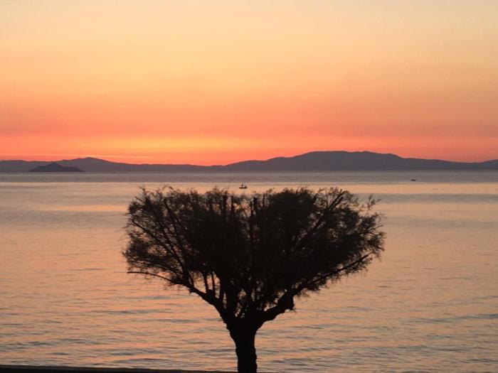 Studio Rio Marina sul mare AC
