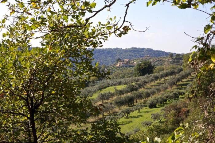 Villamari Nature&Rest farm