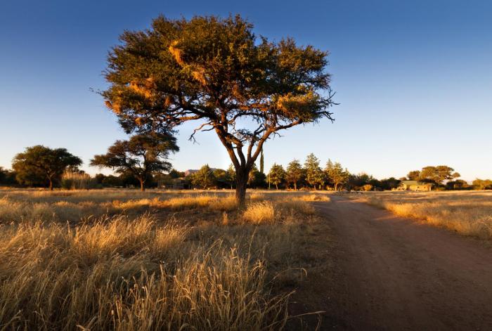 Ondekaremba - ONE Namibia