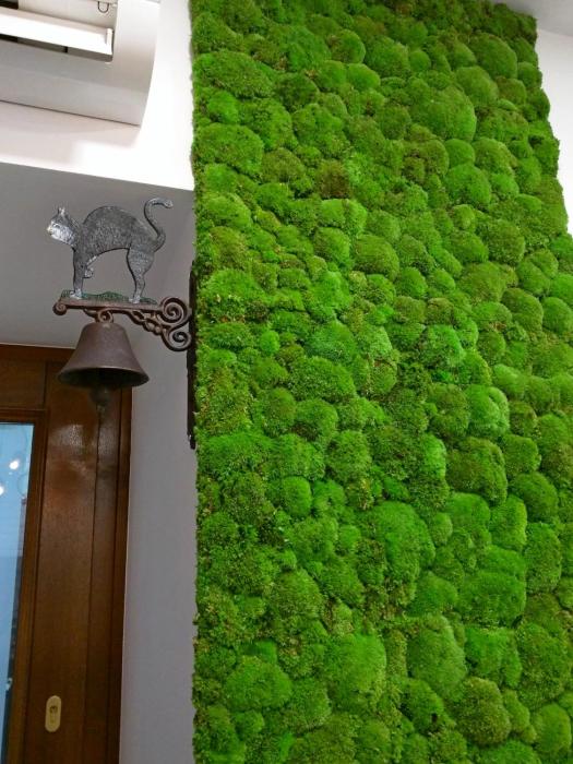 Apartament Starowiślna