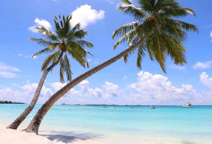 Villa Emmanuel 1BHk Holiday Homes