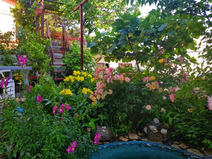 Apartments Ivka & Garden