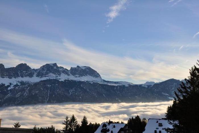 Haus Alvier - CharmingStay