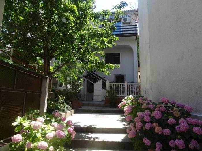 Apartman Elena