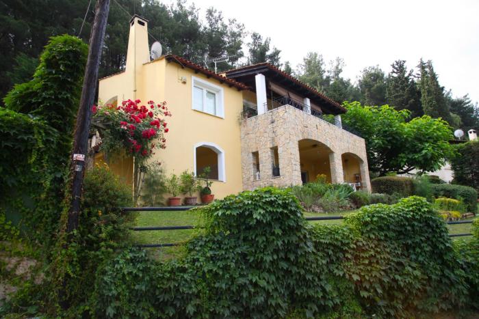 Six Steps From The Forest