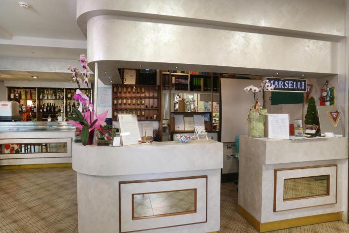 Hotel Marselli