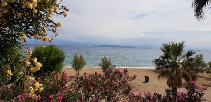Perfect BeachFront Apartment