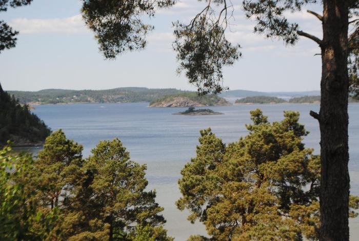 Anfasteröd Gårdsvik - Örnnästet