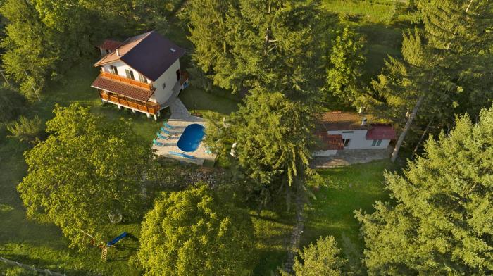 Пе́трови Вили