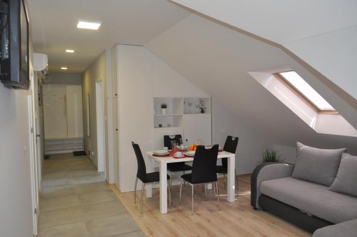 Klimatyzowany Apartament Paris