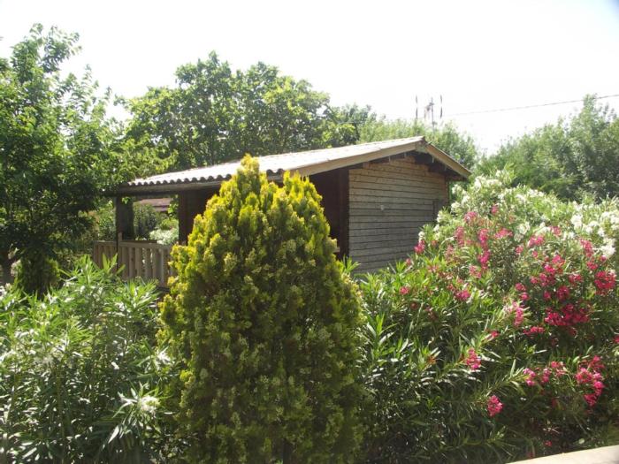 Chalets 1 MESANGE BLEUE Roquebrune Sur Argens